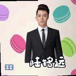 陆铭远